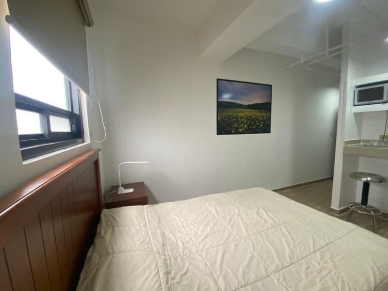 Departamento en renta en Centro, Torreón · Modelo Estancia Carmen — foto 8