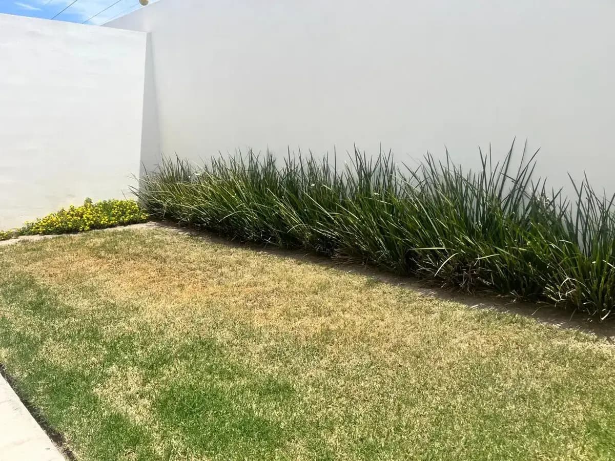 Casa en venta en Lomas, Torreón · Modelo Cancún — foto 18