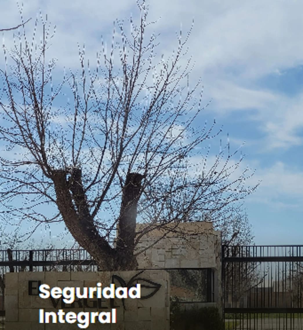 Terreno en venta en La Barranca, Torreón · Modelo Torreón de Cañas — foto 4