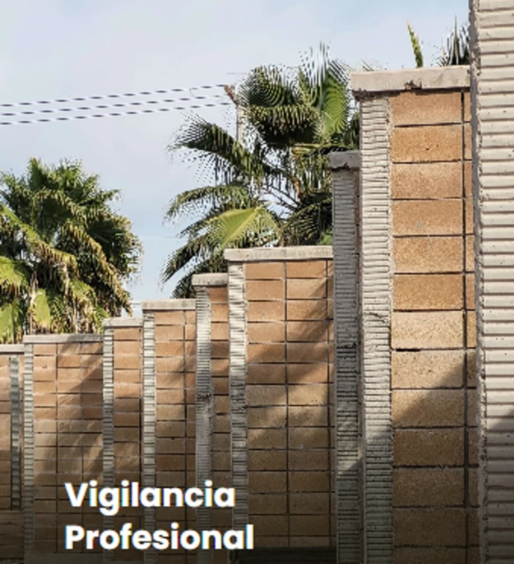 Terreno en venta en La Barranca, Torreón · Modelo Torreón de Cañas — foto 3
